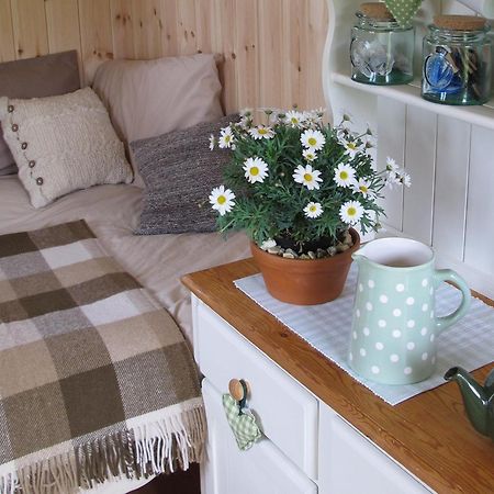 Marshwood Farm B&B And Shepherds Hut Dinton (Wiltshire) Exterior foto